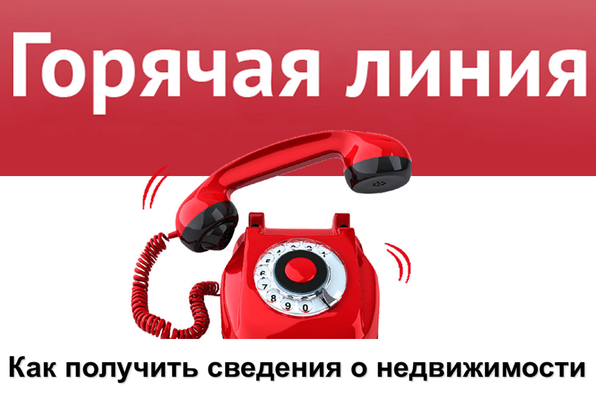 Горячая линия: предоставление сведений ЕГРН