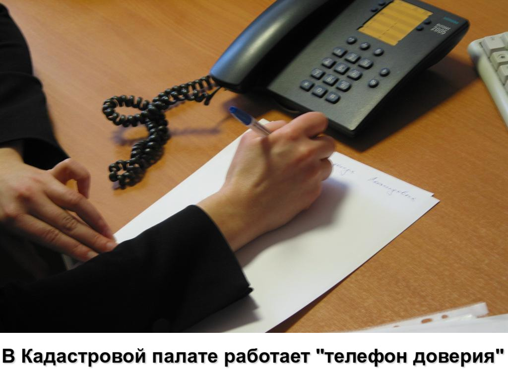 В Кадастровой палате работает «телефон доверия» В Кадастровой палате работает «телефон доверия»