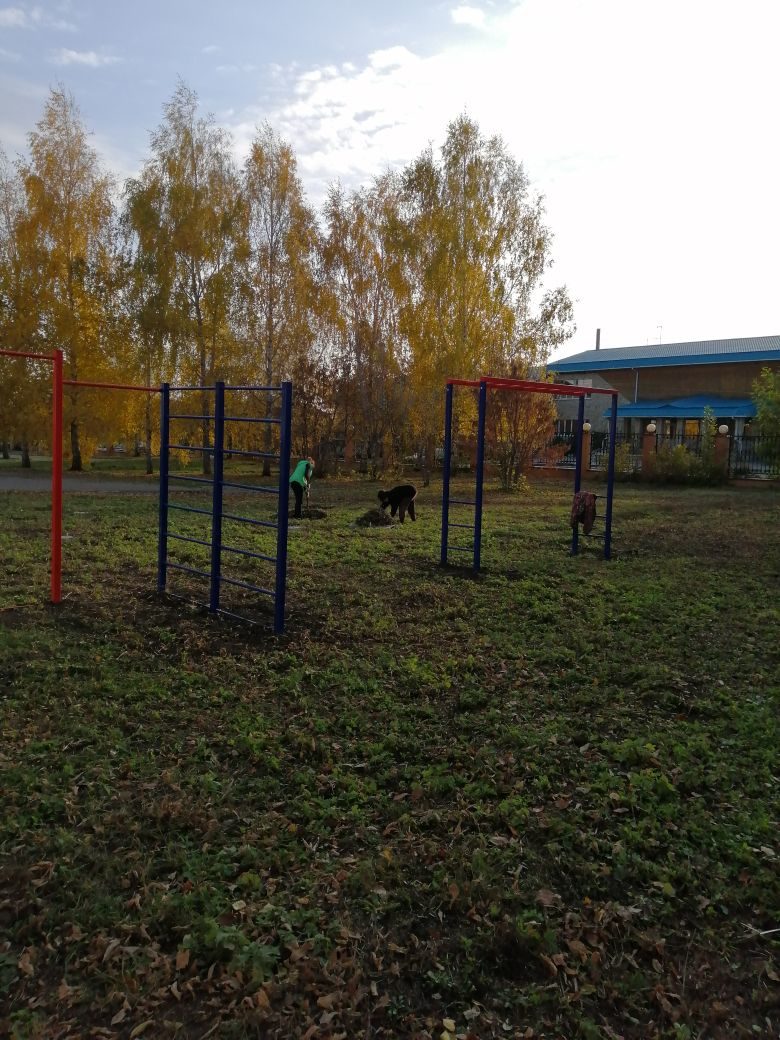 Коллектив досугового центра с. Никольского провел субботник