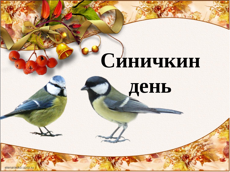 12 ноября – народный праздник «Синичкин день»