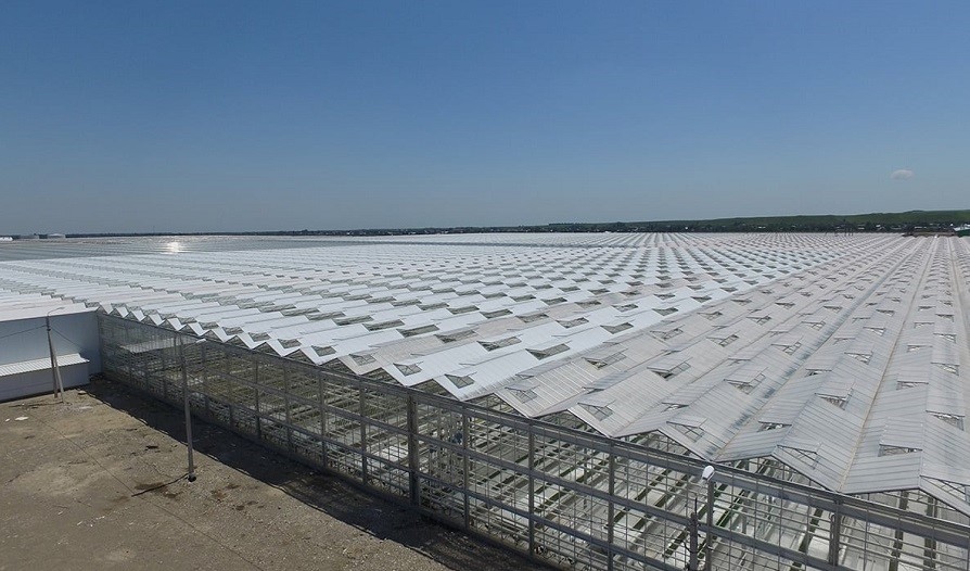 Строительство тепличного комплекса в Усманском районе завершат в 2020 году