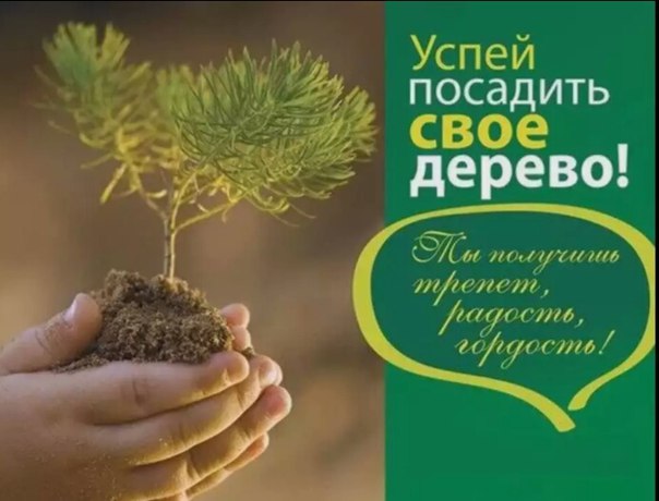 «Сохрани лес -2020»