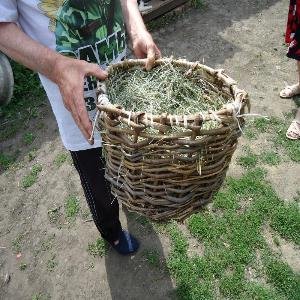 Техника плетения из лозы в с. Завальное Усманского района.