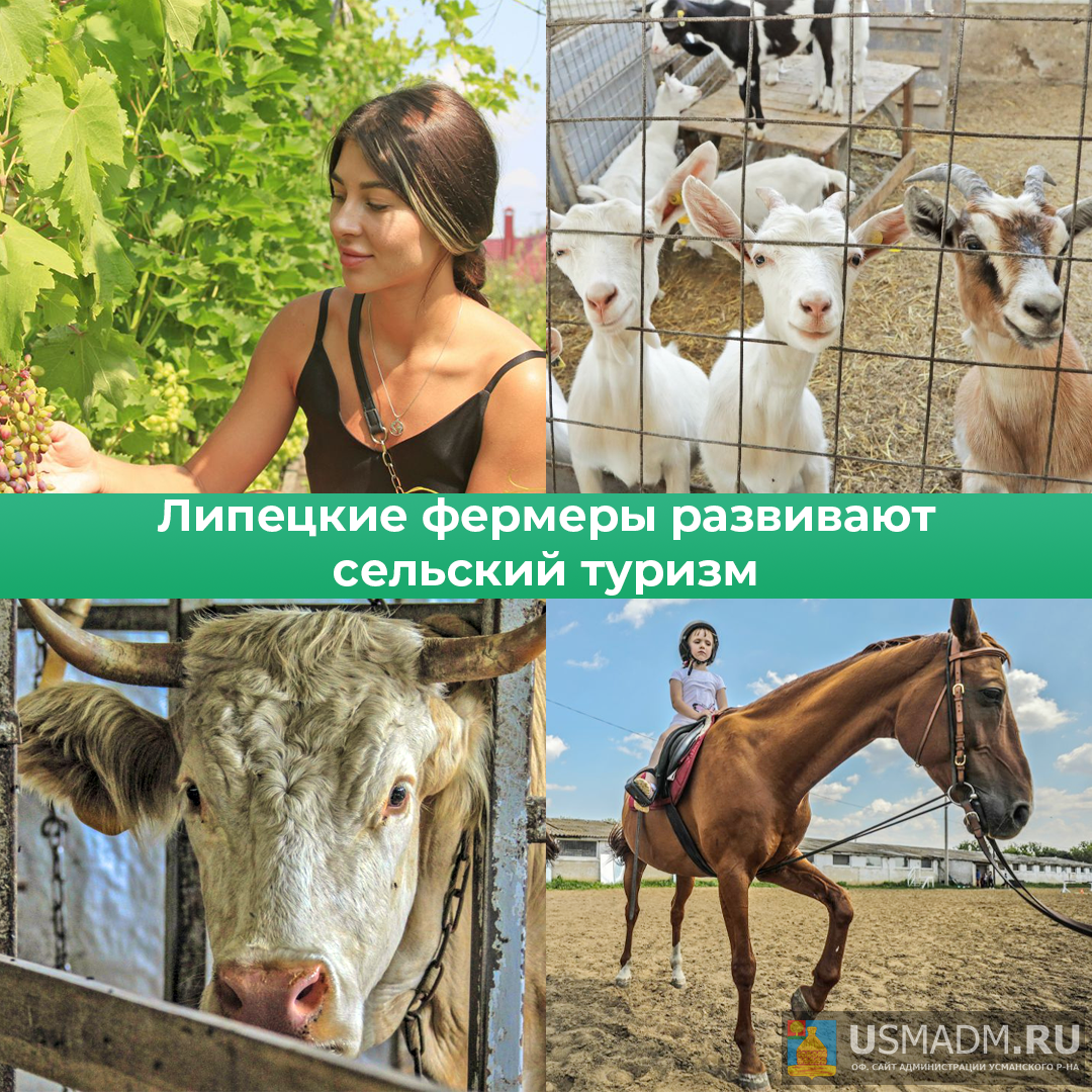 Агротуризм