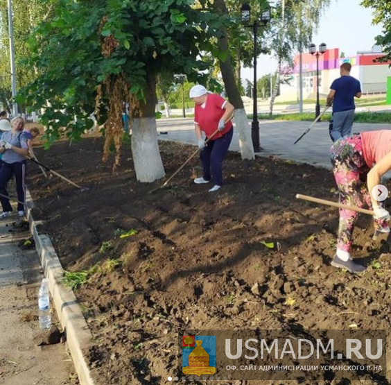 Работы по благоустройству аллеи Басова