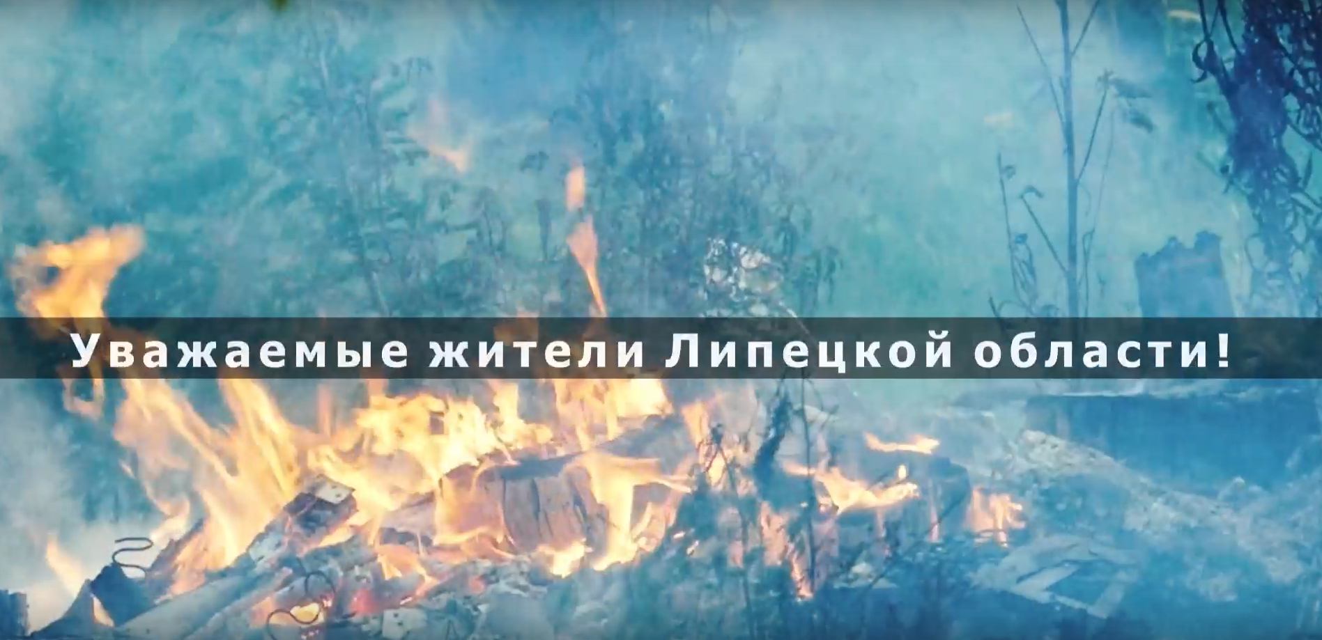 Берегите лес!