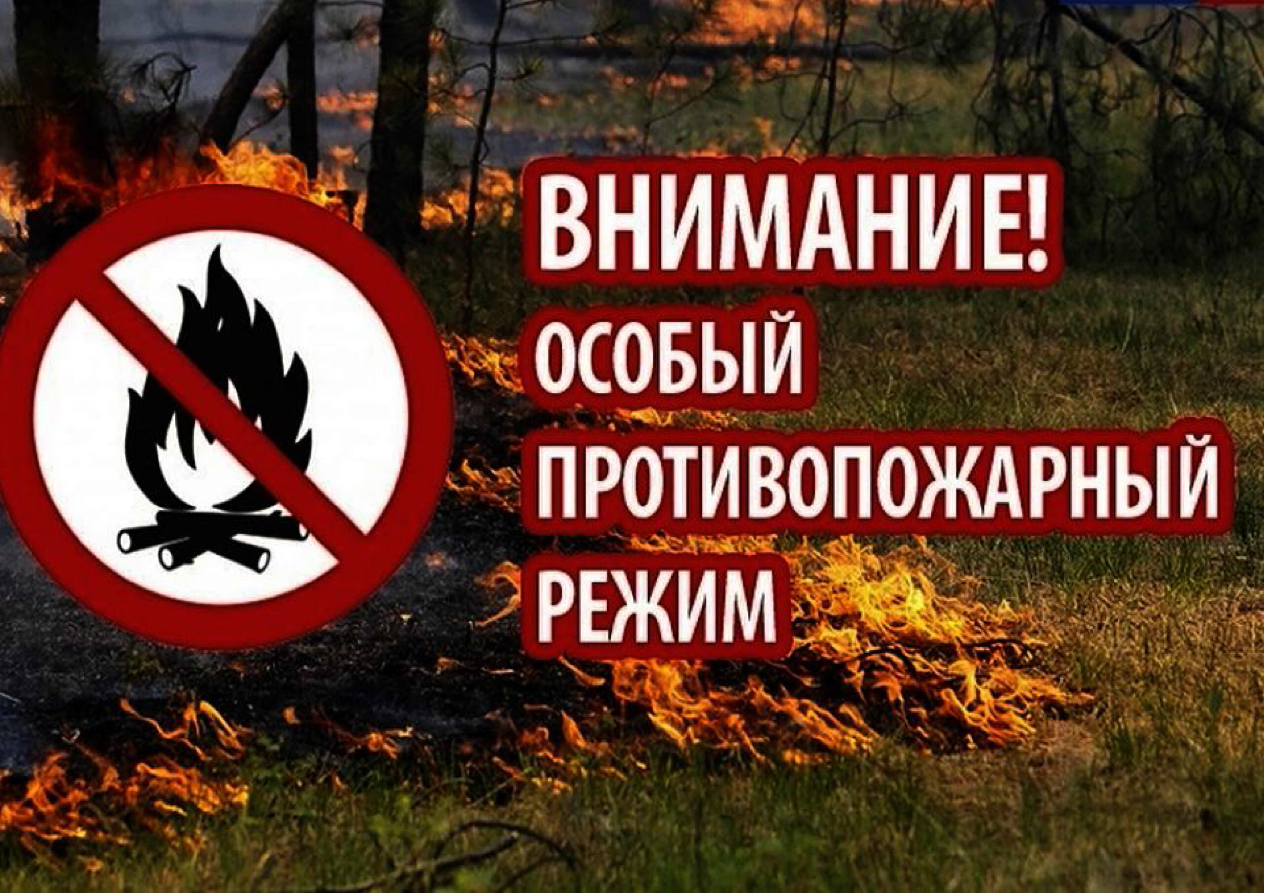 Особый противопожарный режим