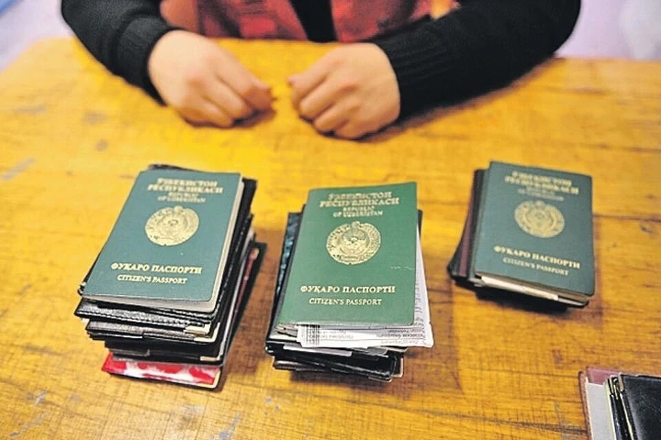 Указ губернатора по мигрантам