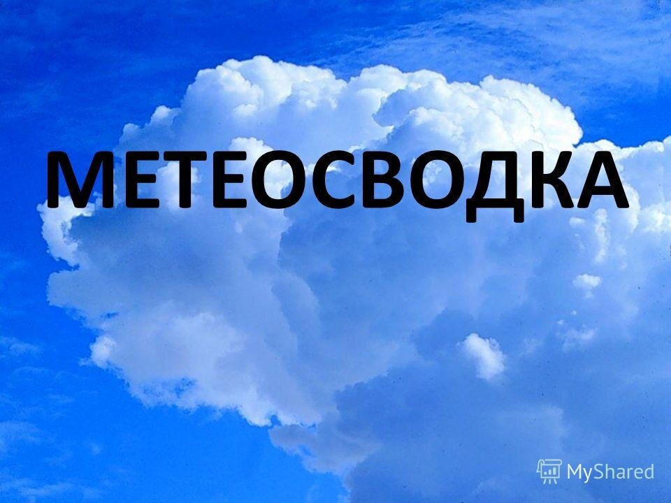 Метеоконсультация