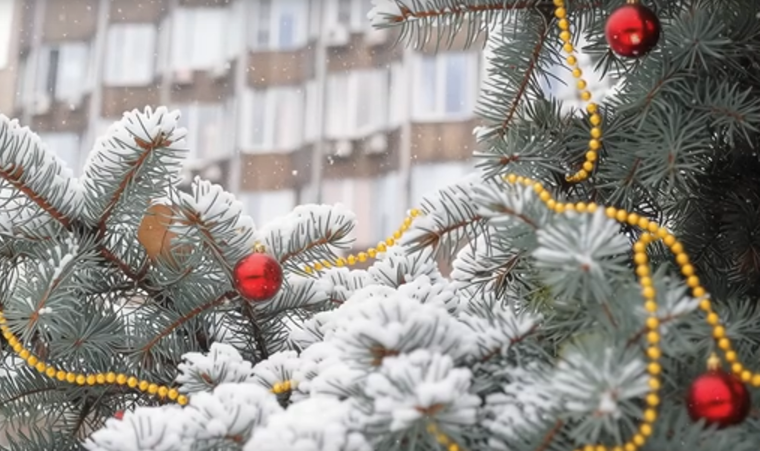Прием выходного дня
