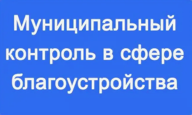Муниципальный контроль в области благоустройства